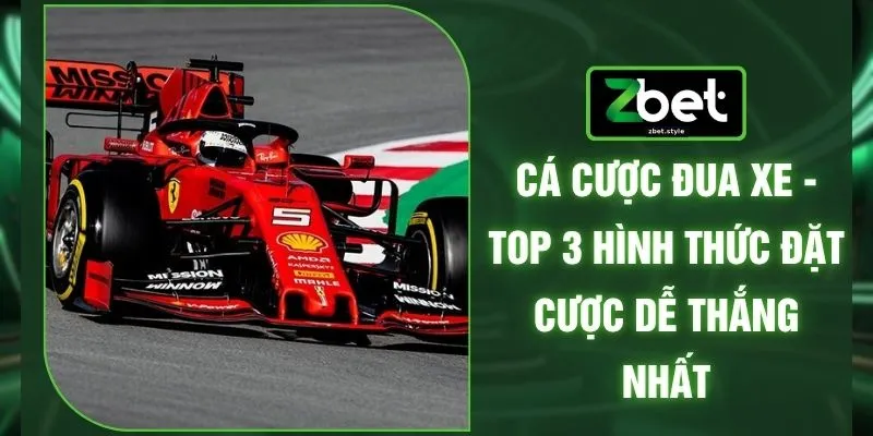 Cá Cược Đua Xe - Top 3 Hình Thức Đặt Cược Dễ Thắng Nhất 1 Cá Cược Đua Xe - Top 3 Hình Thức Đặt Cược Dễ Thắng Nhất