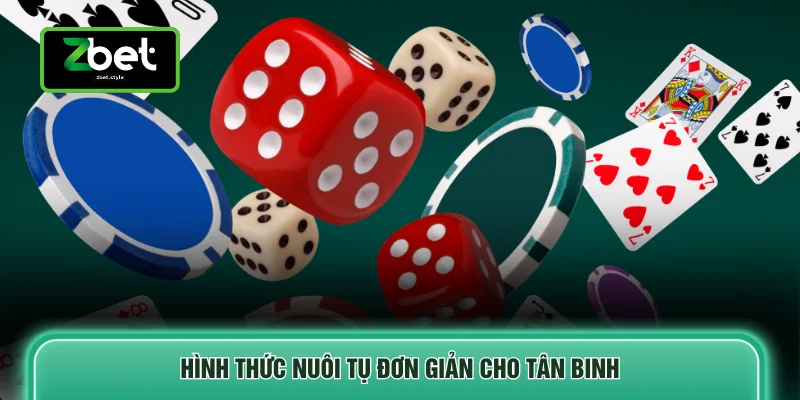 Bài Bửu Zbet - 3 Quy Tắc Và Các Bí Kíp Nên Tham Khảo 4 Hình thức nuôi tụ đơn giản cho tân binh