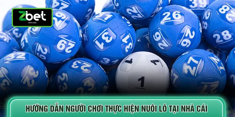 Nuôi Lô Khung - Tổng Hợp 4 Hình Thức Lô Khung Tại Nhà Cái 4 Hướng dẫn người chơi thực hiện nuôi lô tại nhà cái