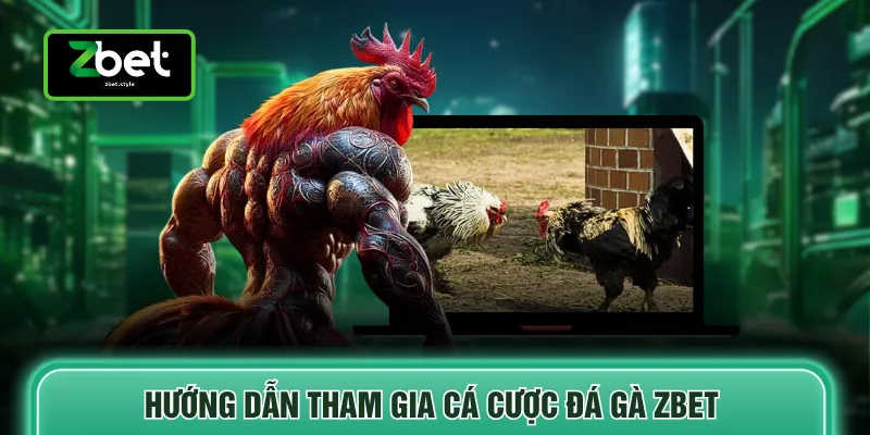 Đá gà Zbet 5 Hướng dẫn tham gia cá cược đá gà ZBET
