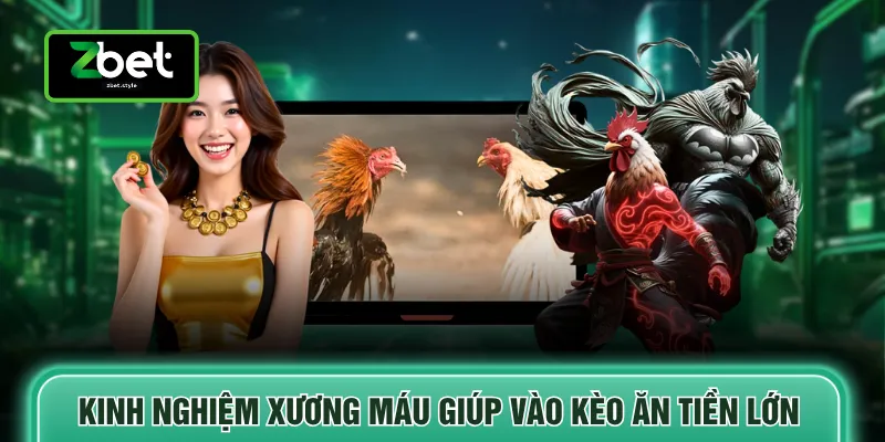 Đá gà Zbet 4 Kinh nghiệm xương máu giúp vào kèo ăn tiền lớn