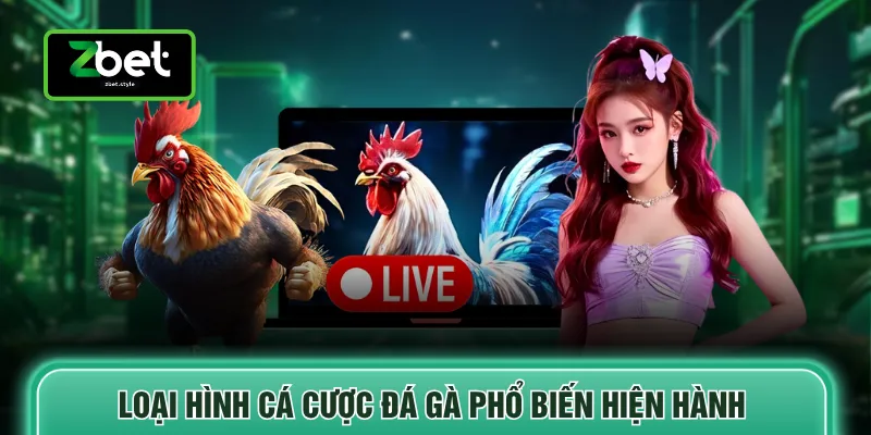 Đá gà Zbet 2 Loại hình cá cược đá gà phổ biến hiện hành