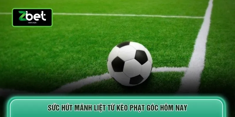 Kèo Phạt Góc Và 3 Cách Phân Tích Thông Số Từ Chuyên Gia 2 Sức hút mãnh liệt từ kèo phạt góc hôm nay